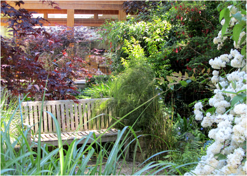 Linden Garden